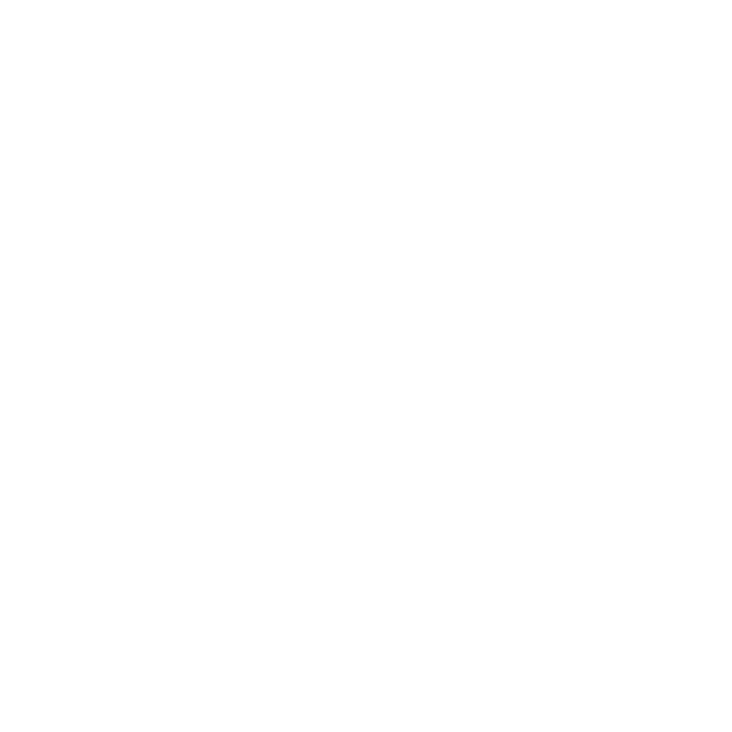 Axe Lair llc logo